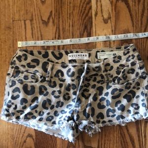 Bullhead Shorts leopard Pac Sun size 0 like new